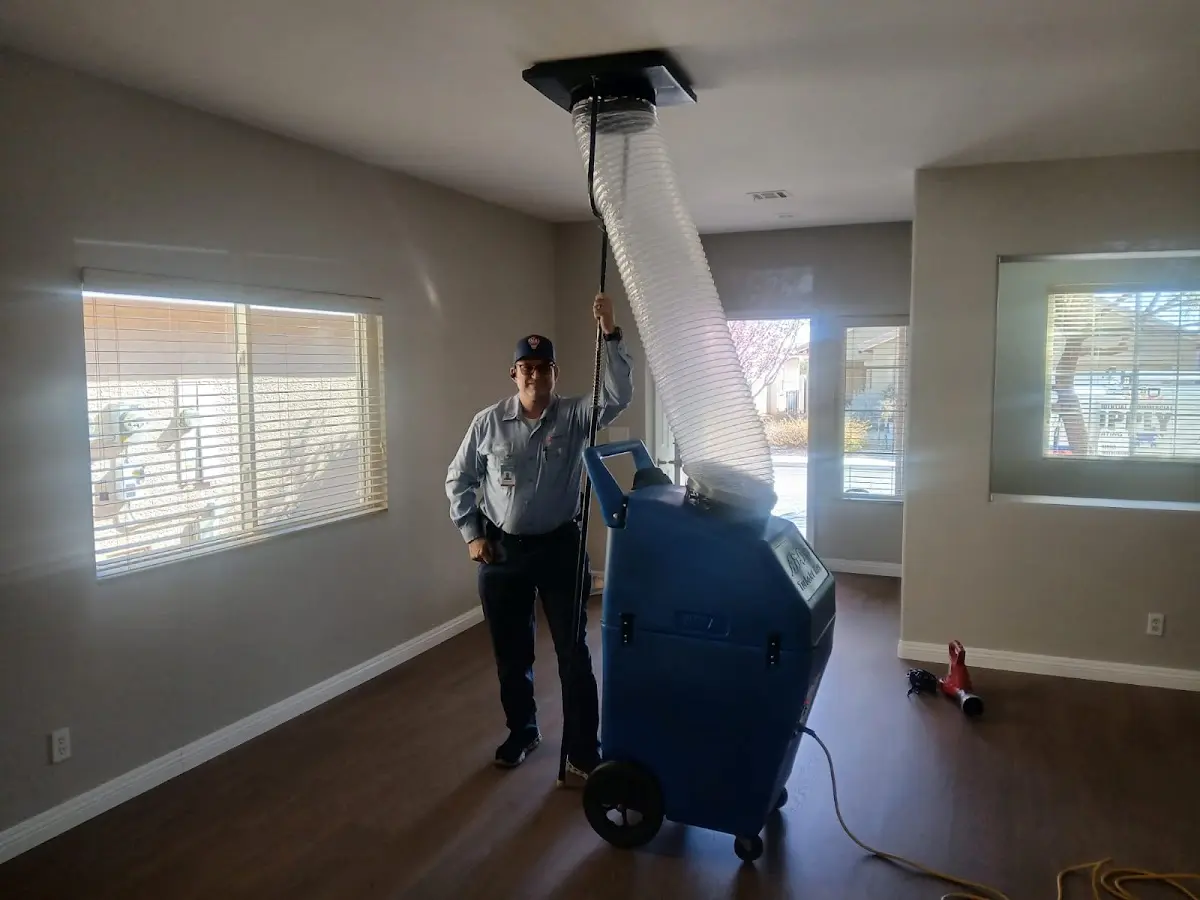 Professional Dryer Vent Cleaning work inside a Minden home